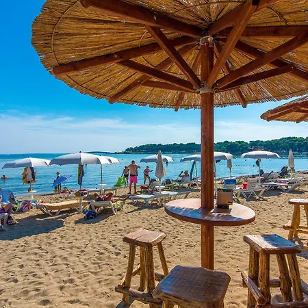 Amazing In With Kitchen *